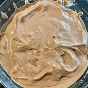 churned chocolate bourbon gelato with praline pecans