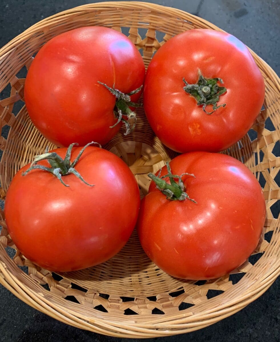 Ripe Tomatoes