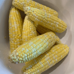 Corn On the Cob