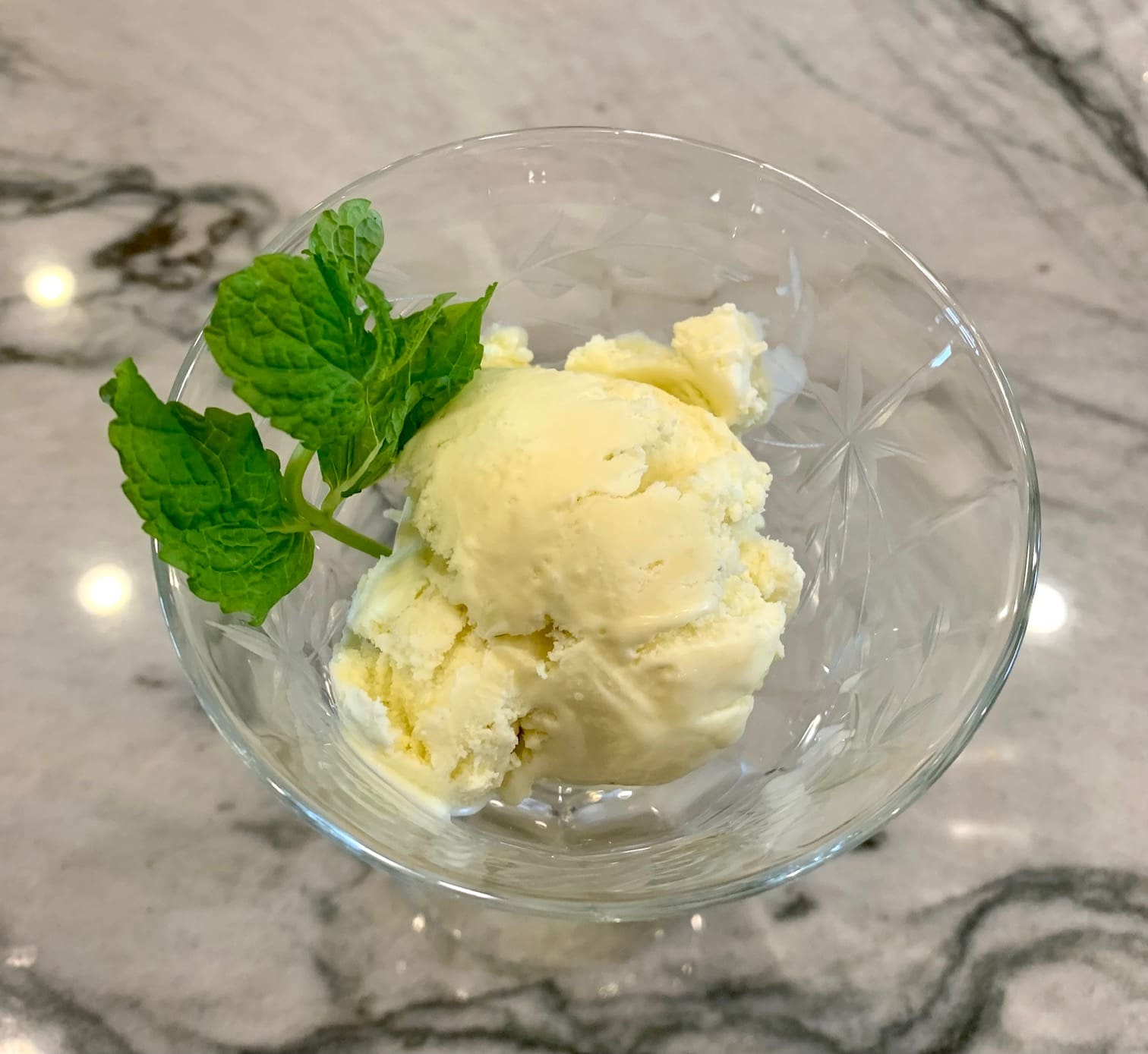 Blue Cheese ice Cream Cook Savor Celebrate