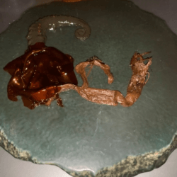 Alinea Octopus