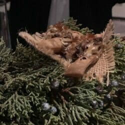 Alinea Pork and Shroom