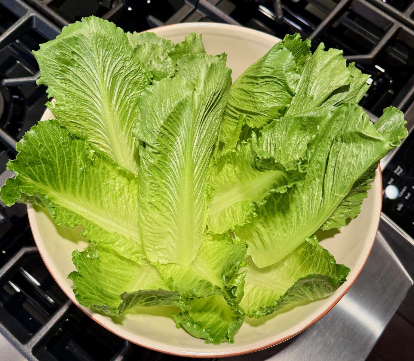 heart of romaine leaves