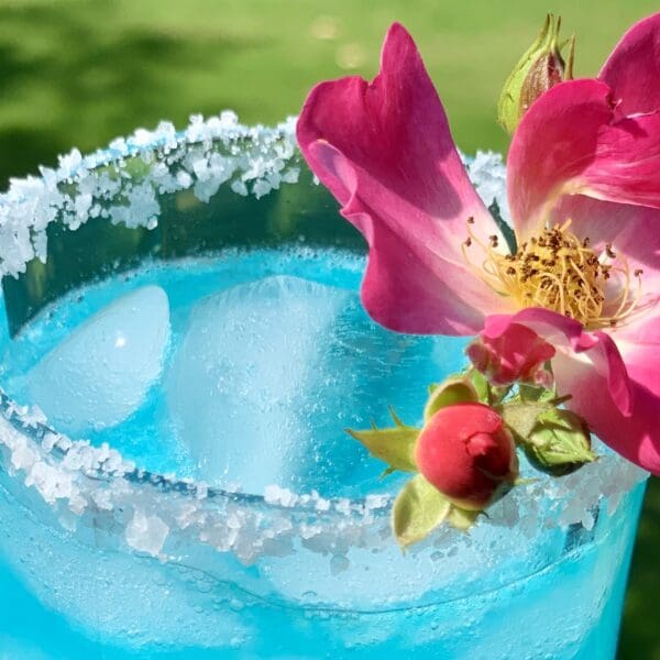 Turquoise Margarita main