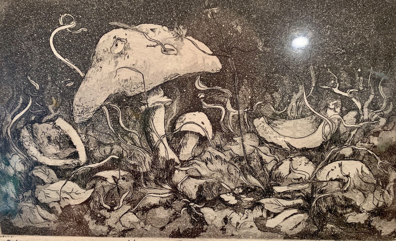 Mushroom etching