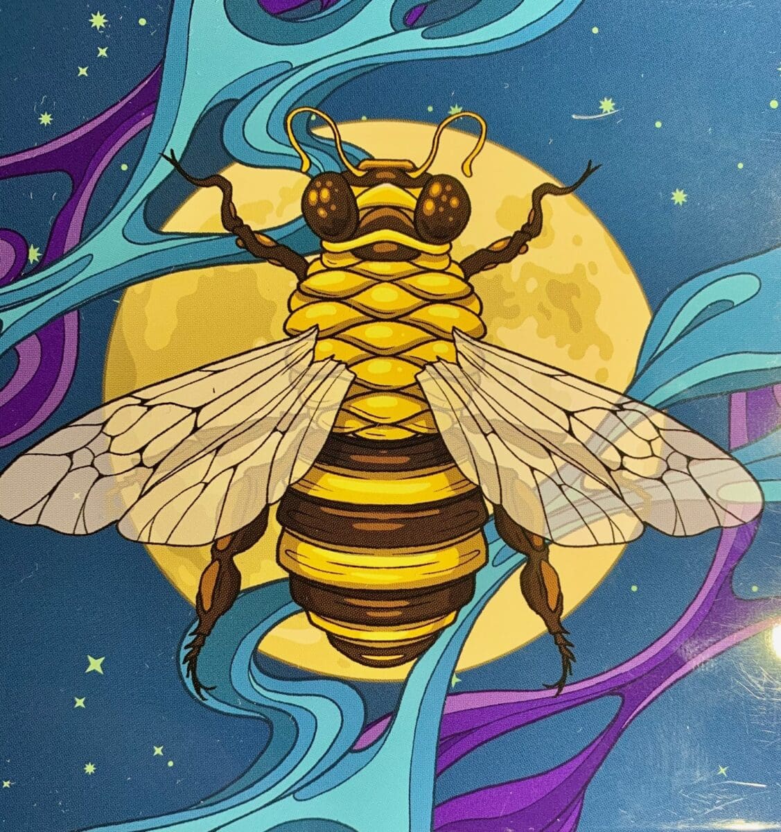 Patron Bee