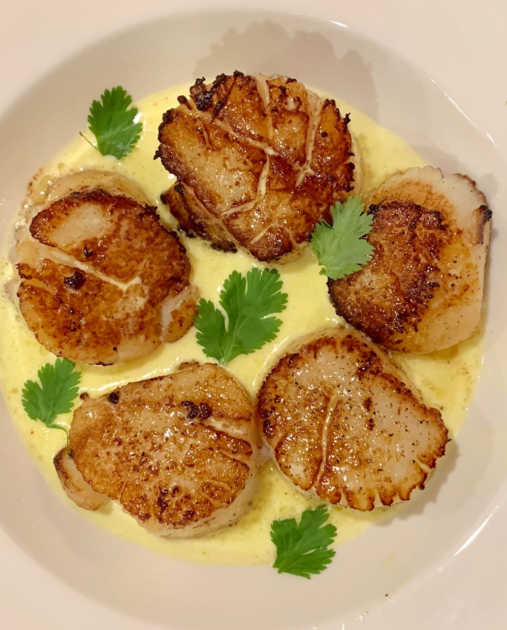 Scallops in Lemon Butter Sauce Cook Savor Celebrate
