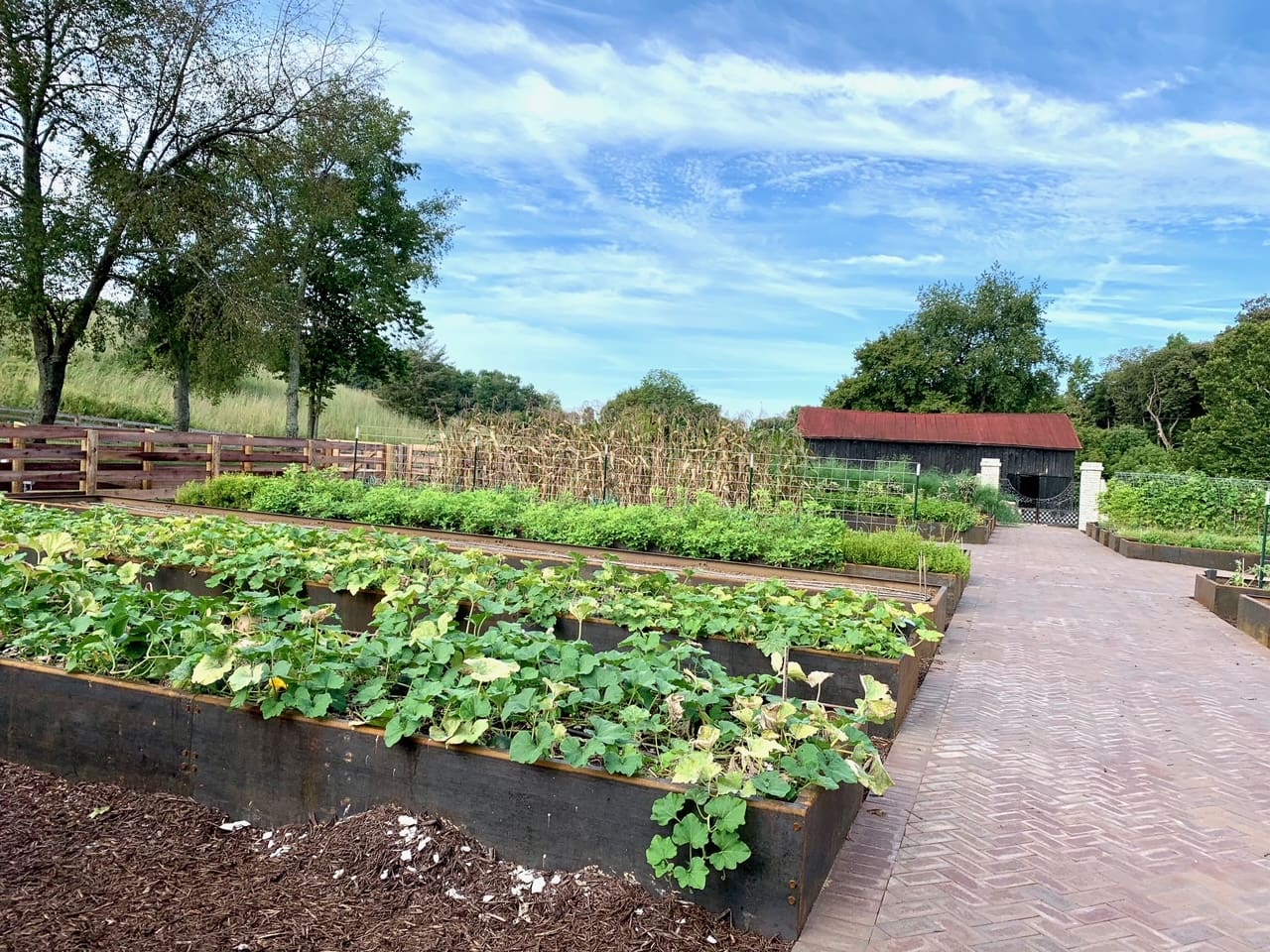 innovation garden 2