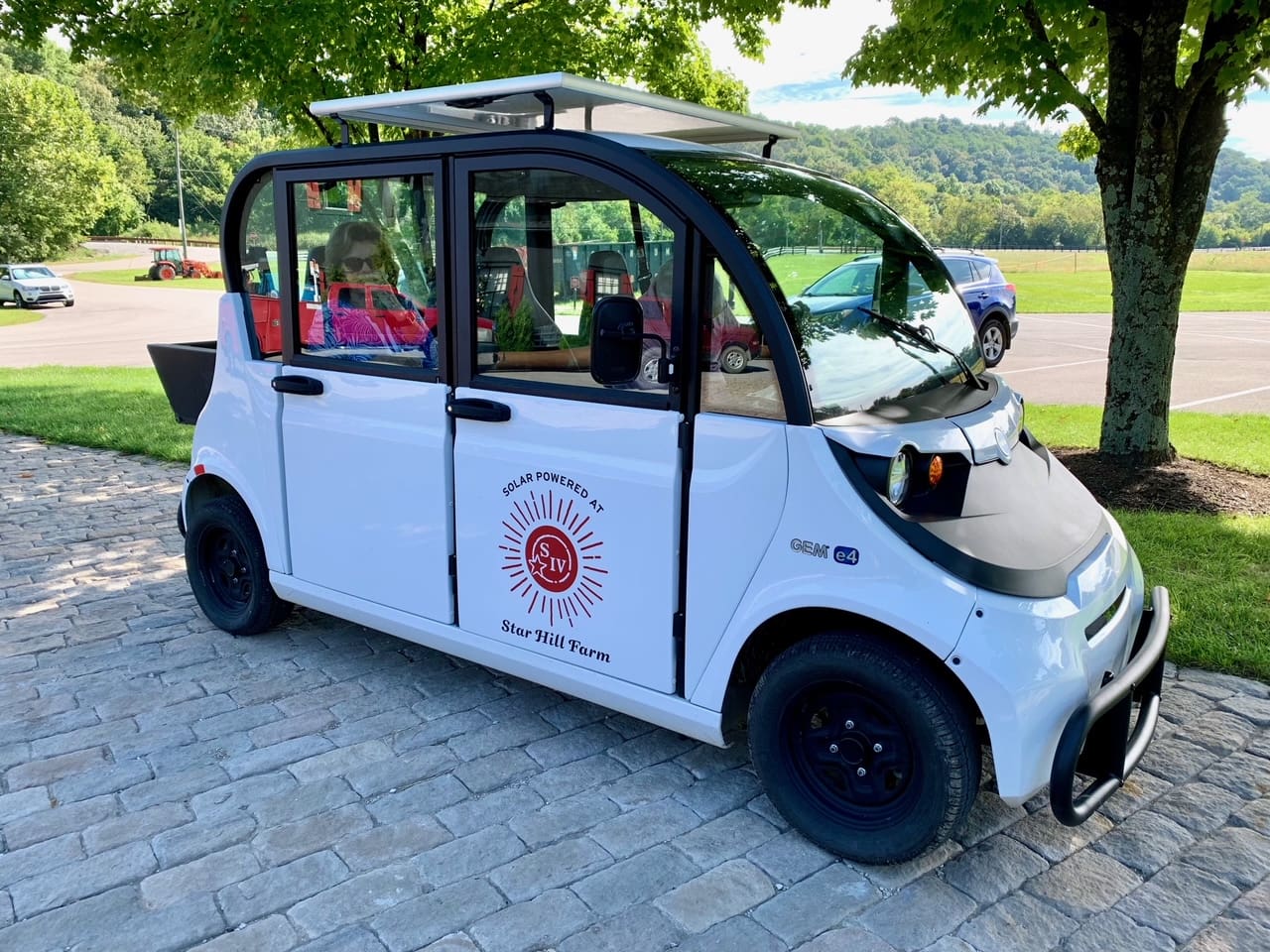 electric cart