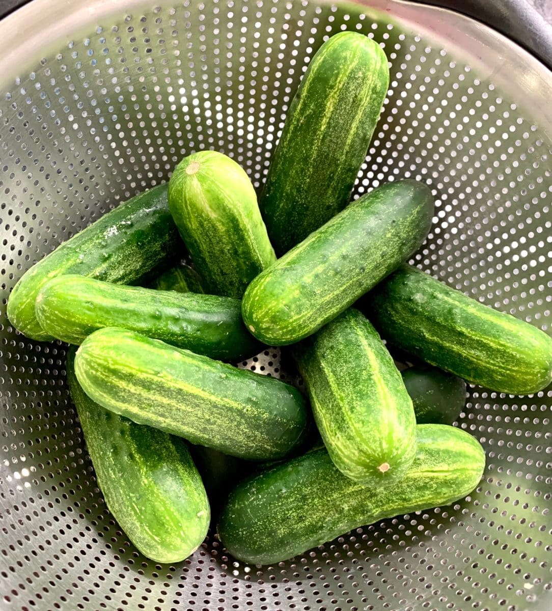 cucumbers