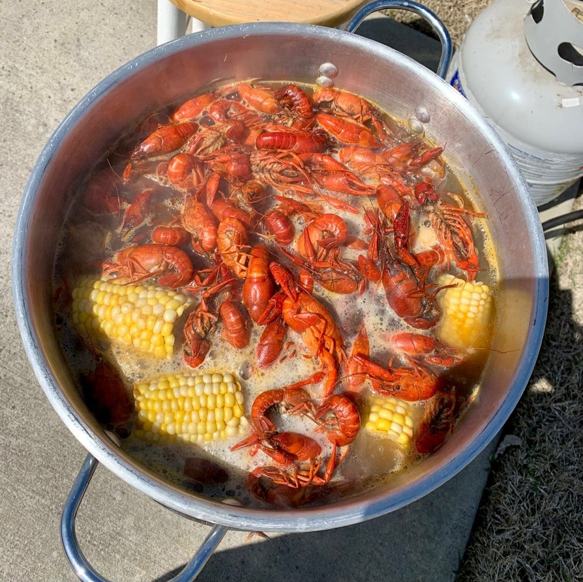 crawfish boil 2