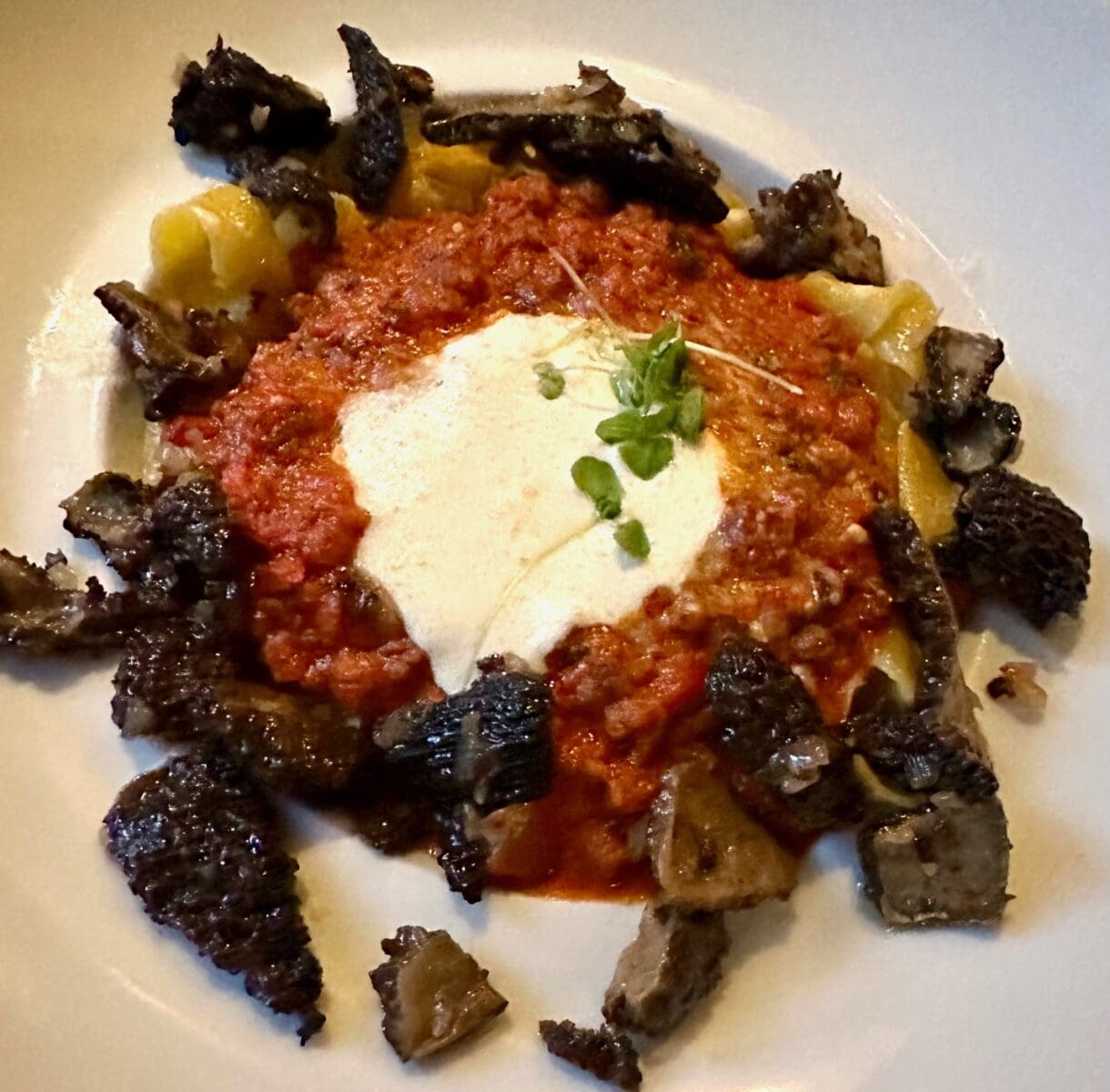 tagliatelle bolognese with morel mushrooms