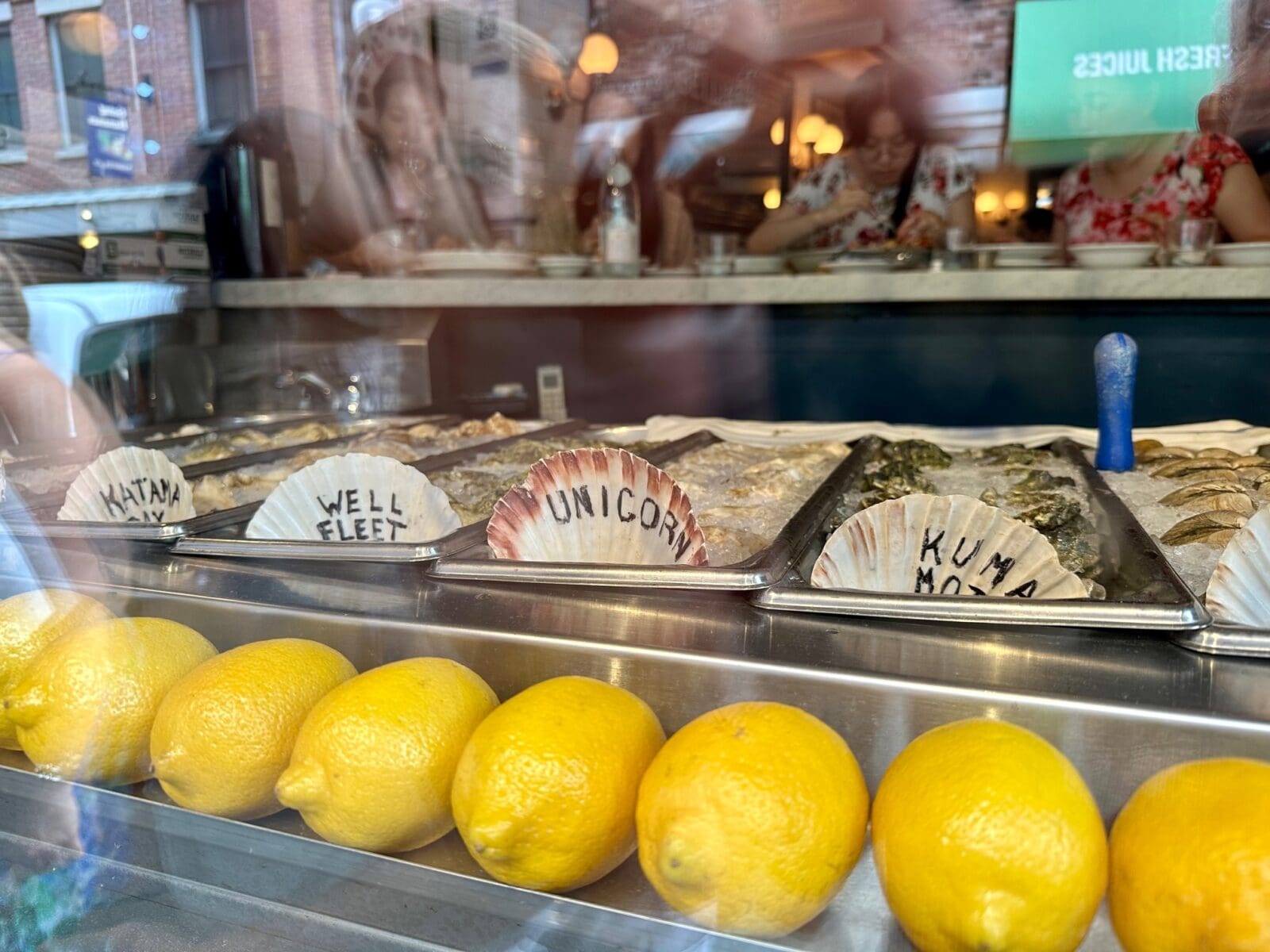 oysters